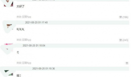 明星吃瓜爆料文件2024,娱乐圈风云再起，揭秘幕后真相